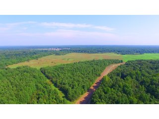 Tract 1 - Farmland in Pulaski County, Arkansas - ABSOLUTE ARKANSAS REAL ESTATE AUCTION - 1,200+/- ACRES OFFERED IN 6 TRACTS IN PULASKI COUNTY, ARKANSAS